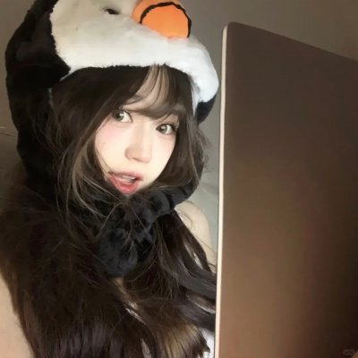 猫贼