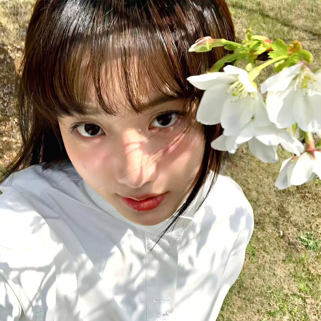 五月槐花香